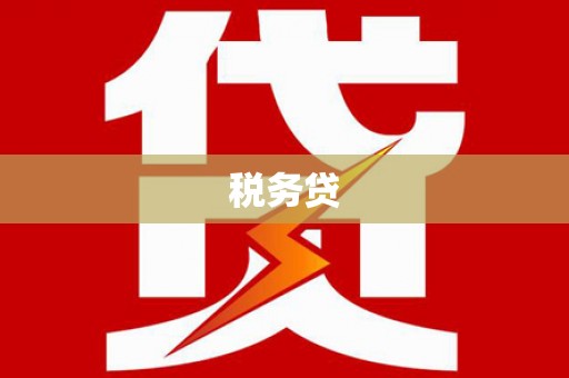 马边税务贷