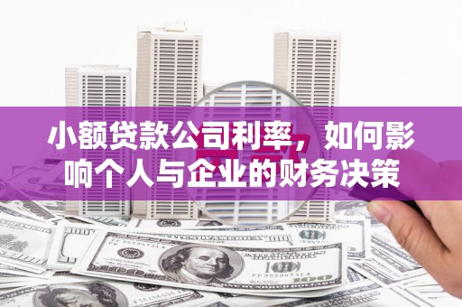 润州小额贷款公司利率，如何影响个人与企业的财务决策