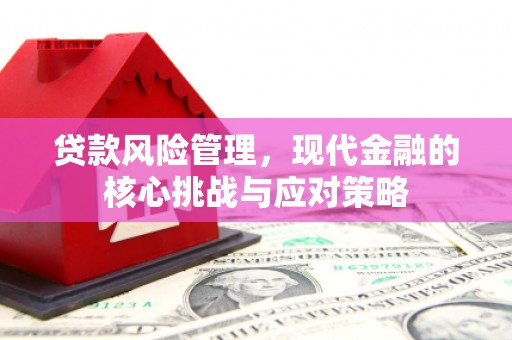 梁山贷款风险管理，现代金融的核心挑战与应对策略
