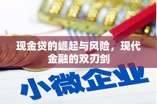 丰滨现金贷的崛起与风险，现代金融的双刃剑