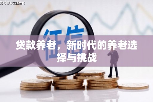 武江贷款养老，新时代的养老选择与挑战