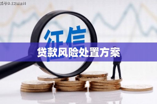 浮梁贷款风险处置方案
