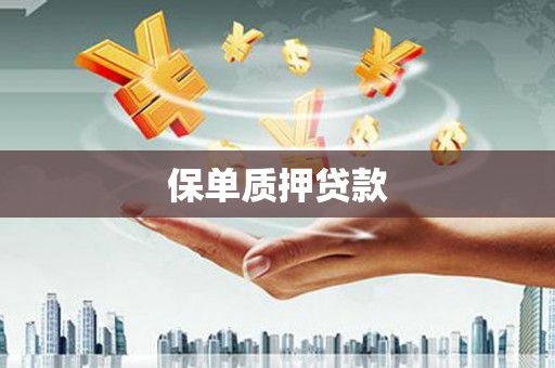 揭阳保单质押贷款