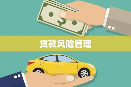 漠河贷款风险管理