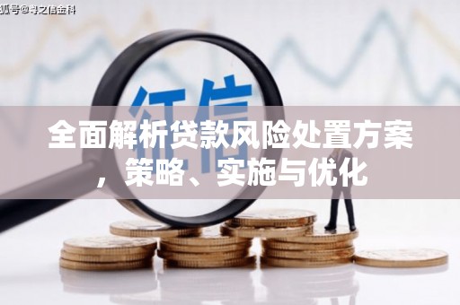 建邺全面解析贷款风险处置方案，策略、实施与优化