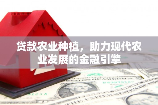 玉井贷款农业种植，助力现代农业发展的金融引擎