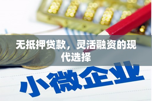 武山无抵押贷款，灵活融资的现代选择