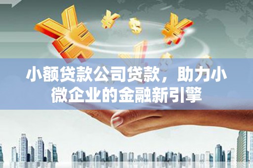 彝良小额贷款公司贷款，助力小微企业的金融新引擎