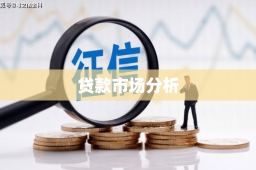 于洪贷款市场分析