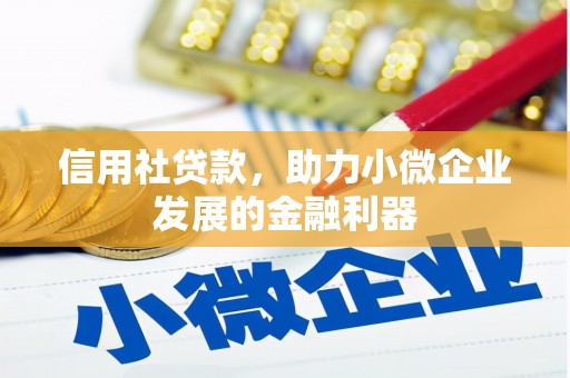 黄梅信用社贷款，助力小微企业发展的金融利器