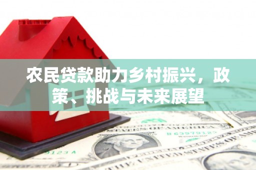 海安农民贷款助力乡村振兴，政策、挑战与未来展望