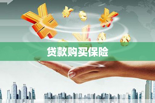 金牛贷款购买保险