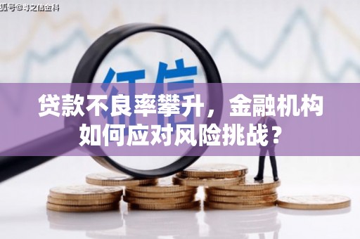 杭锦旗贷款不良率攀升，金融机构如何应对风险挑战？
