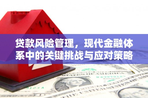 宁远贷款风险管理，现代金融体系中的关键挑战与应对策略