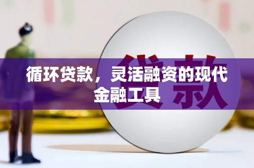 普格循环贷款，灵活融资的现代金融工具