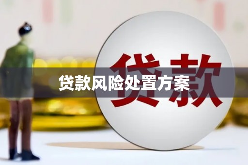 定远贷款风险处置方案