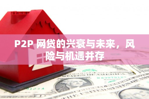 两江新区P2P 网贷的兴衰与未来，风险与机遇并存
