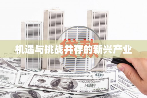 凤林机遇与挑战并存的新兴产业