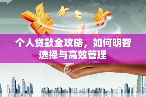 乐东个人贷款全攻略，如何明智选择与高效管理