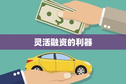 本溪灵活融资的利器