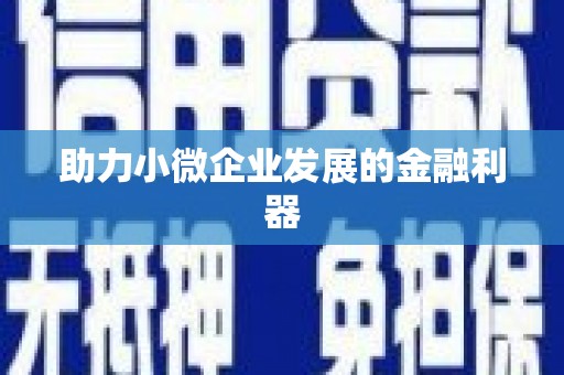 厦门助力小微企业发展的金融利器
