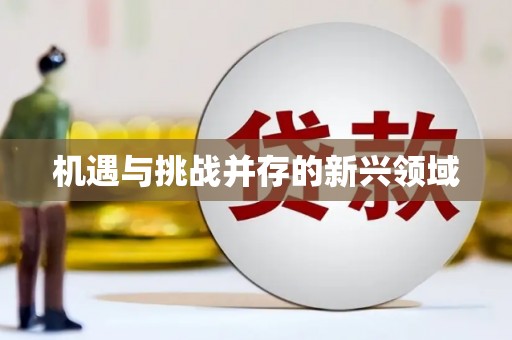 花都机遇与挑战并存的新兴领域