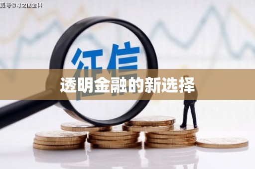 凤县透明金融的新选择