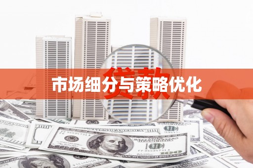 台西市场细分与策略优化