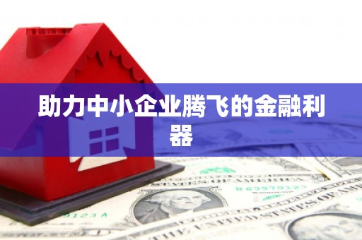 邵阳县助力中小企业腾飞的金融利器