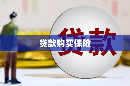 海港贷款购买保险