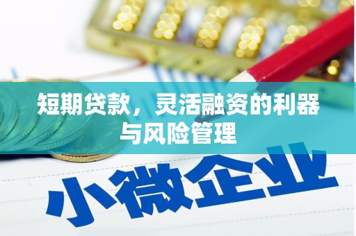 永新短期贷款，灵活融资的利器与风险管理