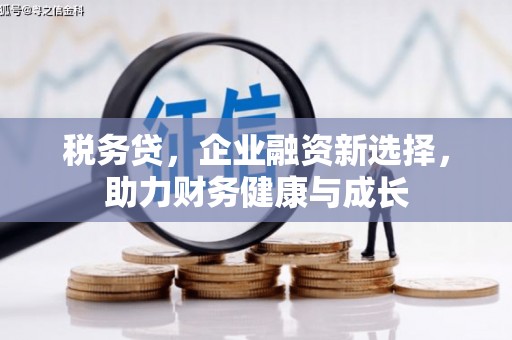 定兴税务贷，企业融资新选择，助力财务健康与成长