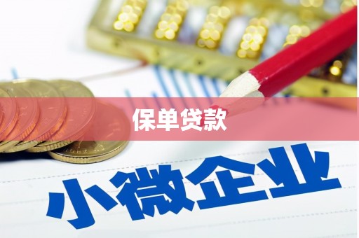 安乡保单贷款 安乡保单贷款